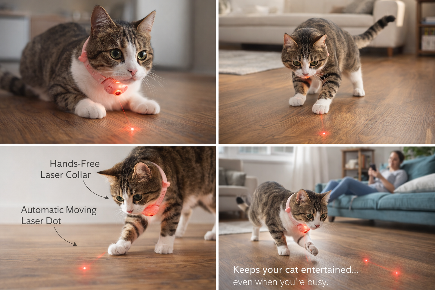 Pet Laser Cat Teasing Collar (One Piece)